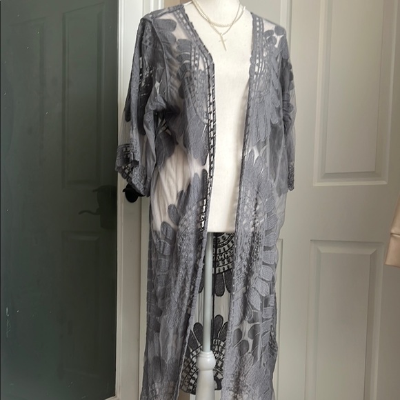 Elegant Gray Sheer Kimono - Picture 1 of 3